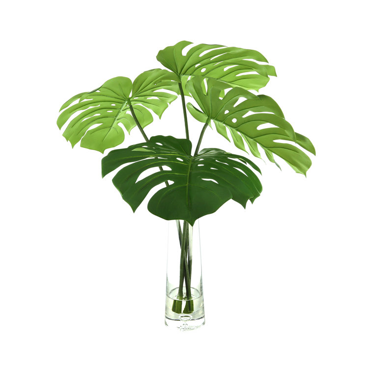 Primrue 27'' Faux Philodendron Plant in Glass Vase Wayfair Canada